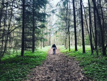Walk in the forest in Oslo